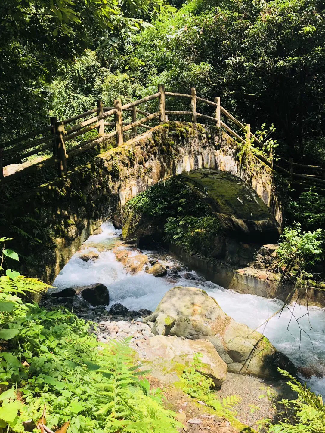 兔子武士大冒险